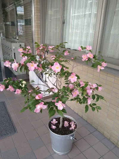 株式会社 アソシアの施設写真