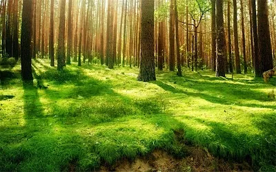 ハートホームズ 株式会社  (ハートホームズ訪問看護リハビリステーション)の施設写真