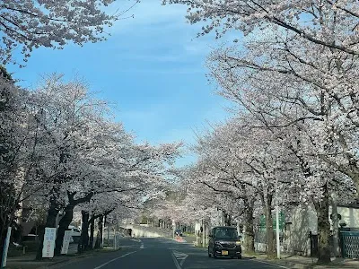 医療法人社団桜愛会さくらの里消化器内科クリニックの施設写真
